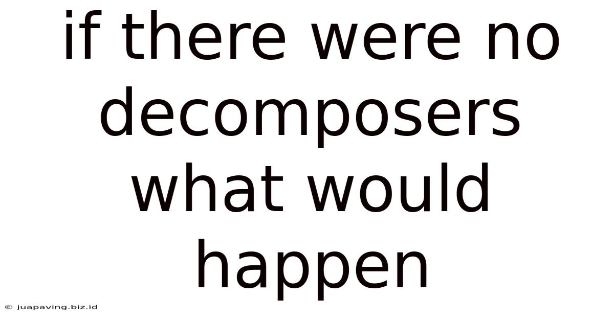 If There Were No Decomposers What Would Happen
