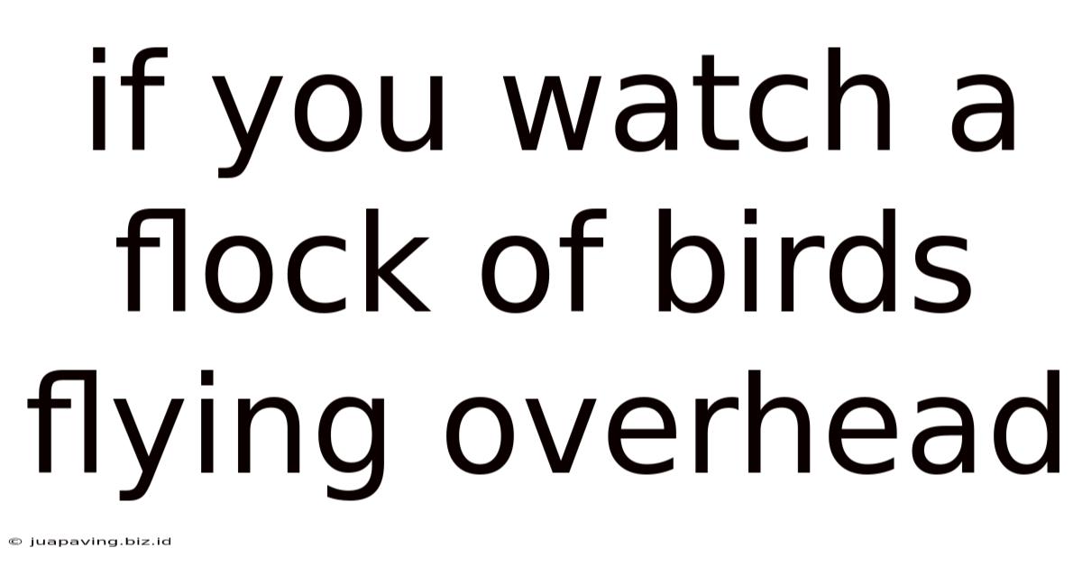 If You Watch A Flock Of Birds Flying Overhead