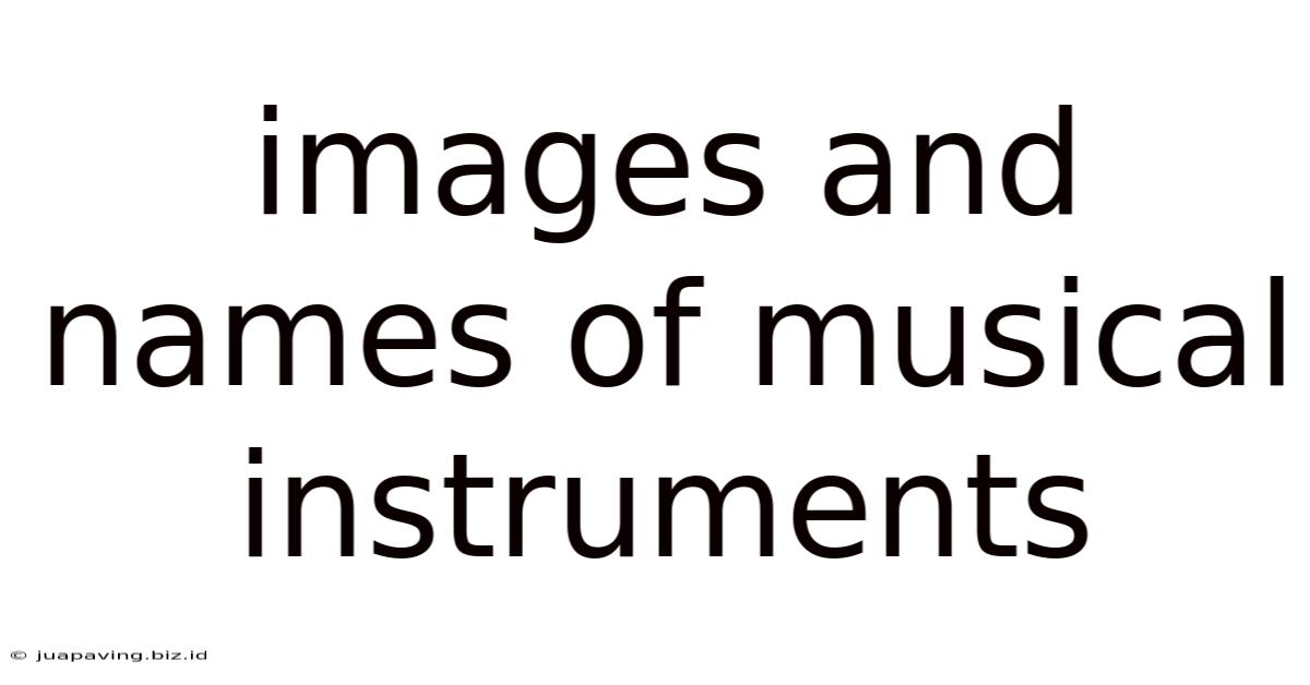 Images And Names Of Musical Instruments