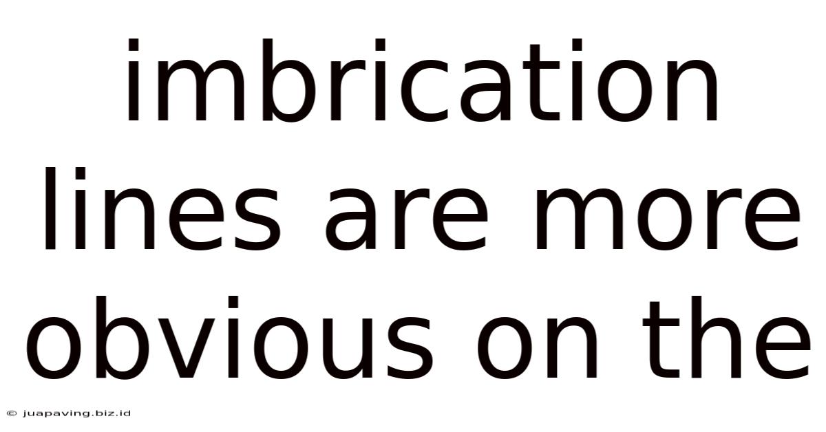 Imbrication Lines Are More Obvious On The