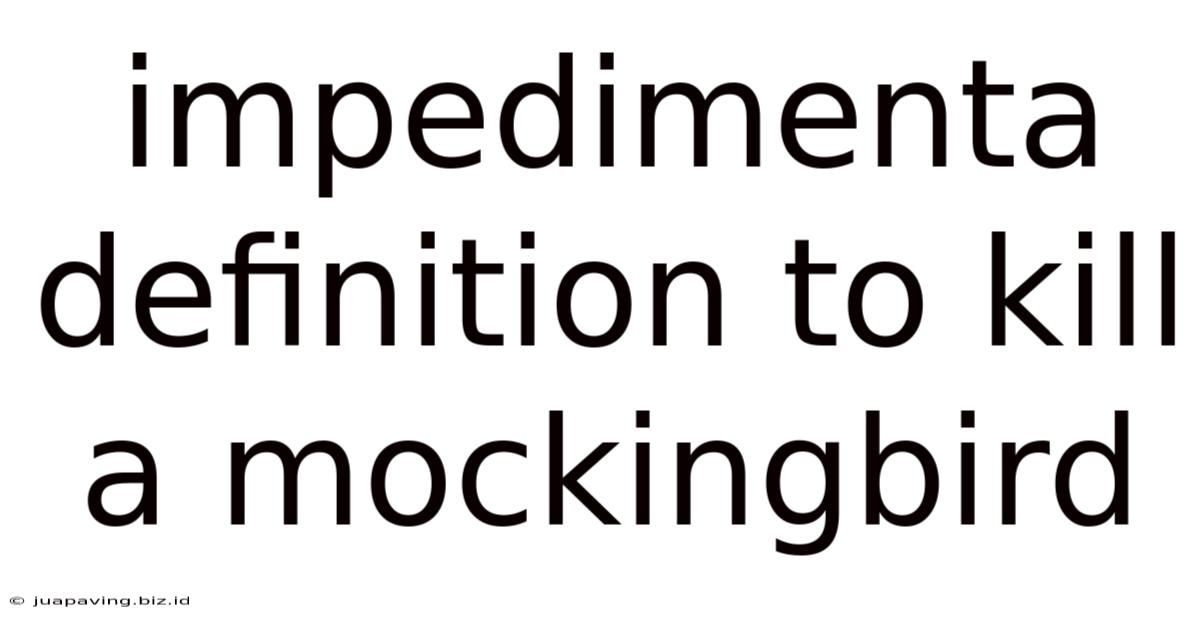 Impedimenta Definition To Kill A Mockingbird