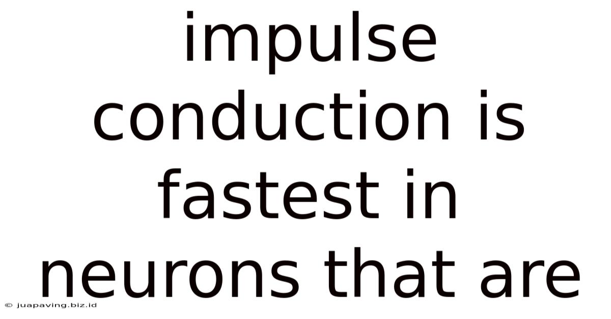 Impulse Conduction Is Fastest In Neurons That Are