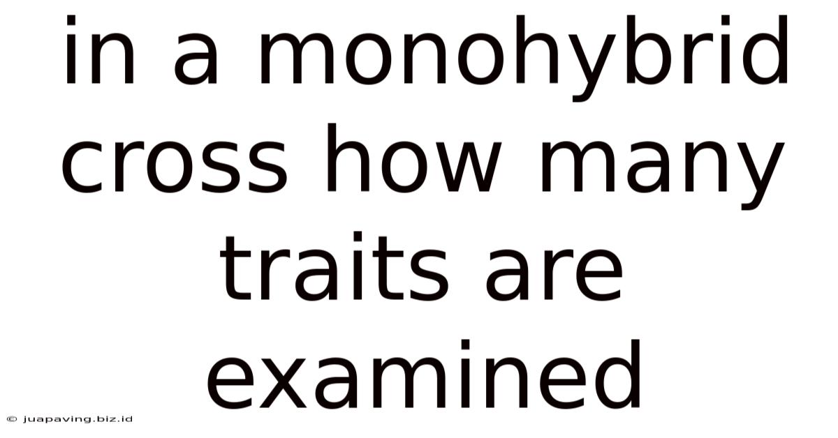 In A Monohybrid Cross How Many Traits Are Examined