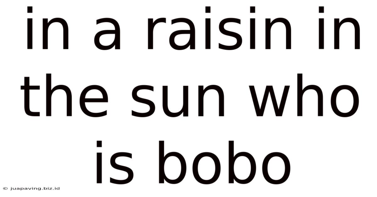In A Raisin In The Sun Who Is Bobo