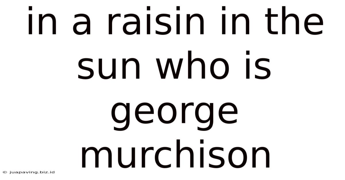In A Raisin In The Sun Who Is George Murchison