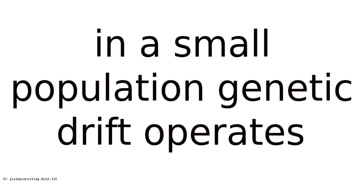 In A Small Population Genetic Drift Operates