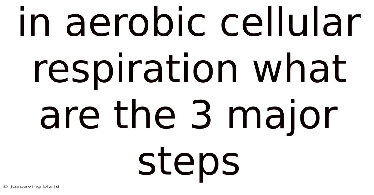 In Aerobic Cellular Respiration What Are The 3 Major Steps