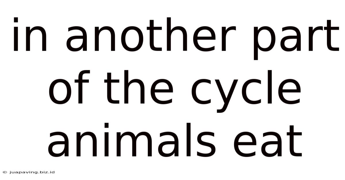 In Another Part Of The Cycle Animals Eat