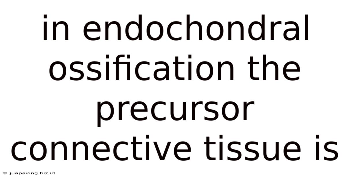 In Endochondral Ossification The Precursor Connective Tissue Is