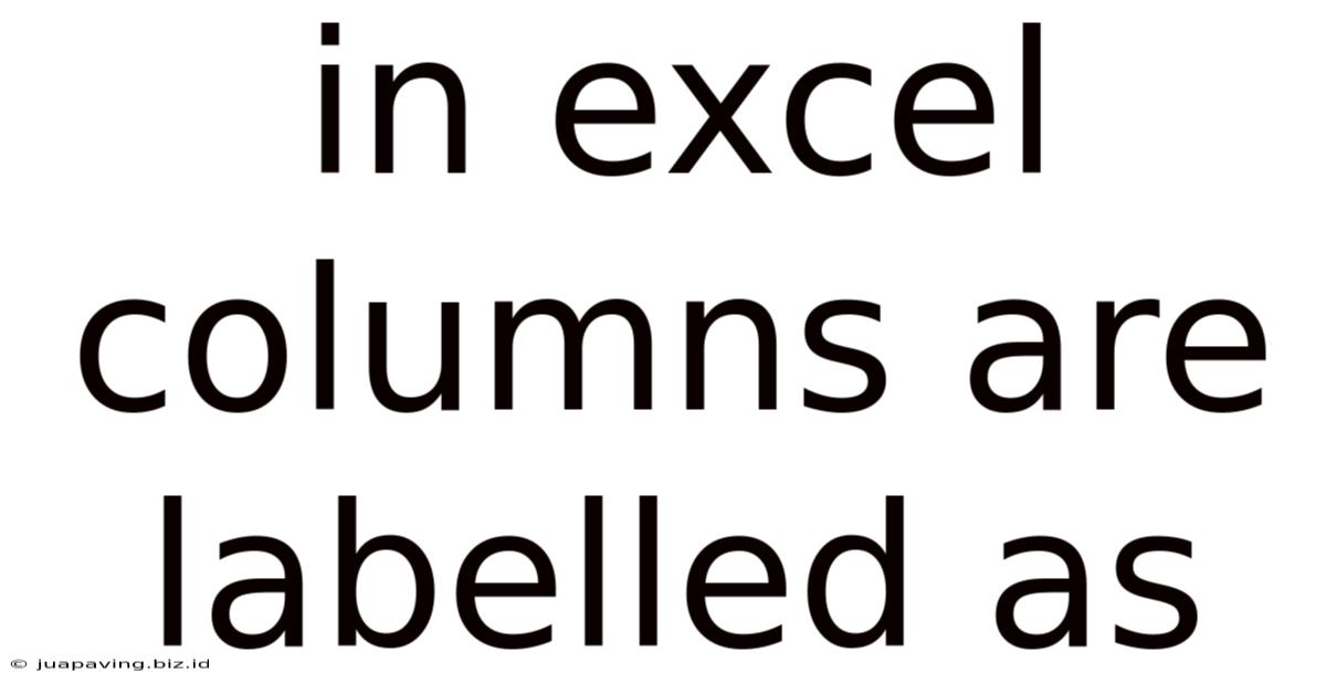 In Excel Columns Are Labelled As