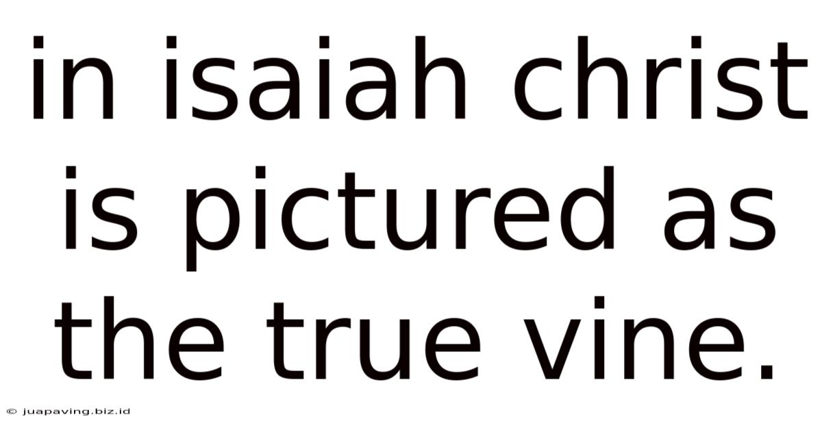 In Isaiah Christ Is Pictured As The True Vine.