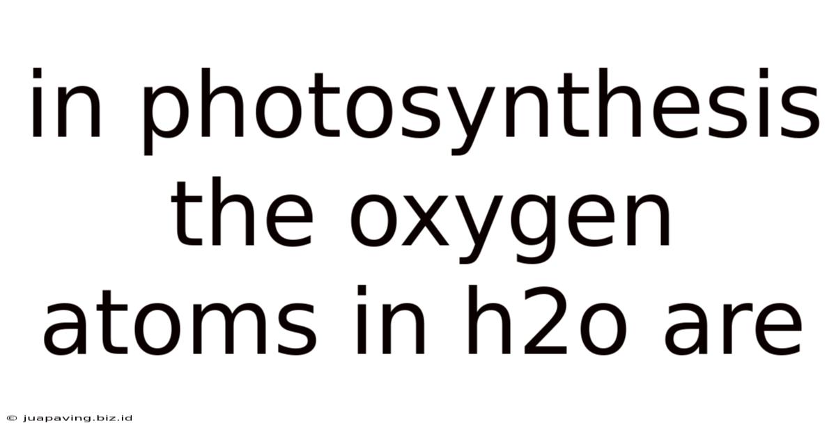 In Photosynthesis The Oxygen Atoms In H2o Are
