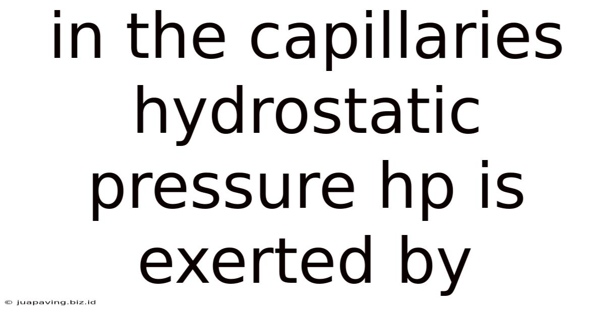 In The Capillaries Hydrostatic Pressure Hp Is Exerted By