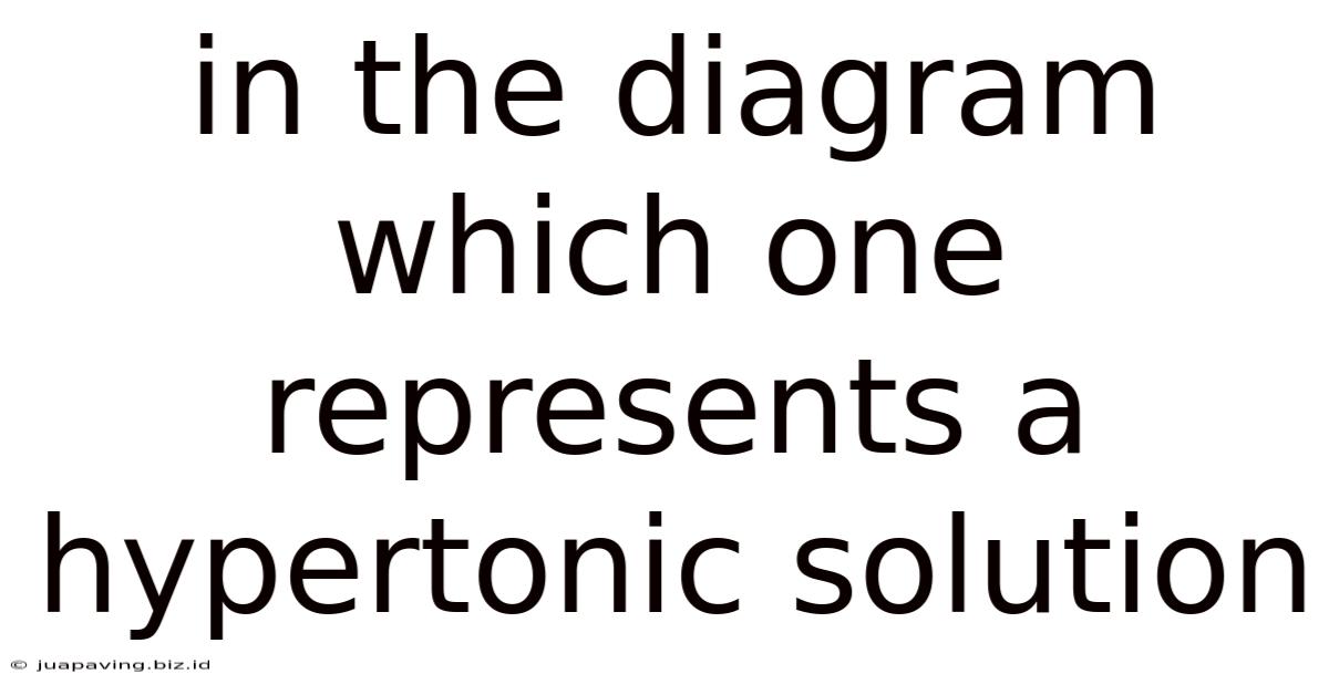 In The Diagram Which One Represents A Hypertonic Solution