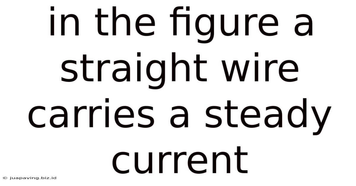 In The Figure A Straight Wire Carries A Steady Current