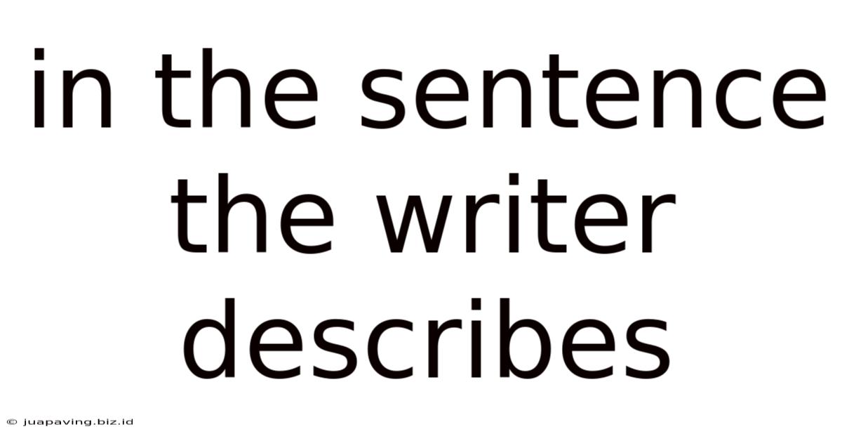 In The Sentence The Writer Describes