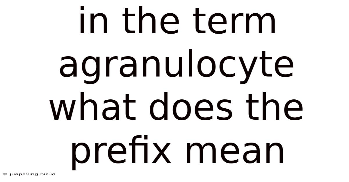 In The Term Agranulocyte What Does The Prefix Mean