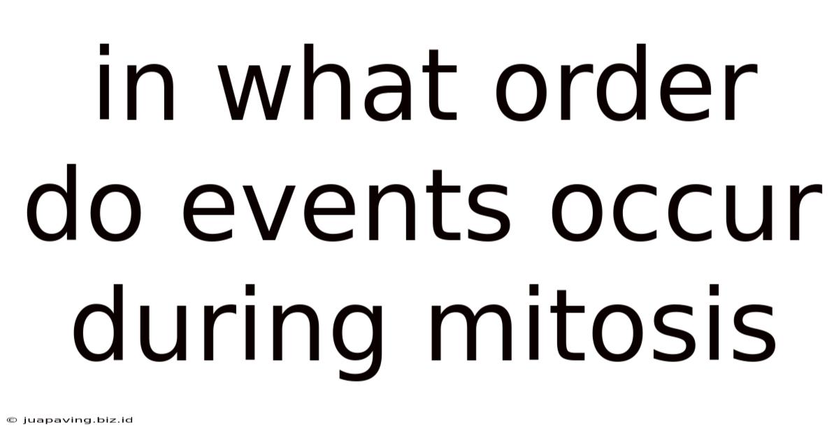 In What Order Do Events Occur During Mitosis