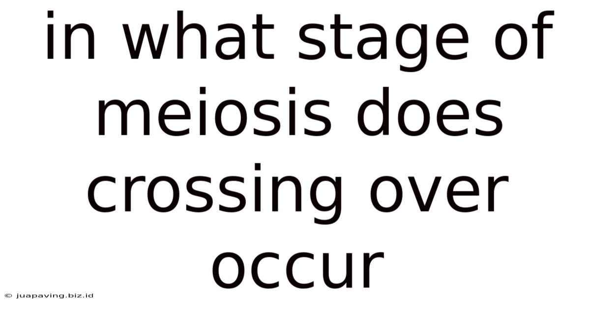 In What Stage Of Meiosis Does Crossing Over Occur
