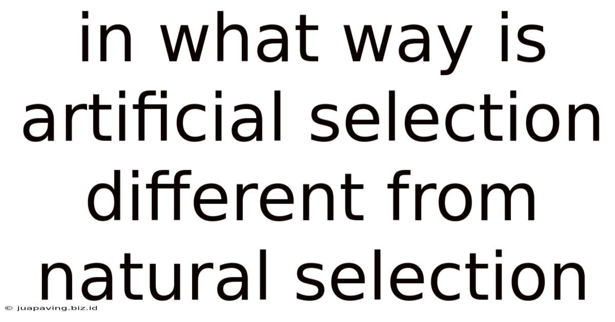 In What Way Is Artificial Selection Different From Natural Selection