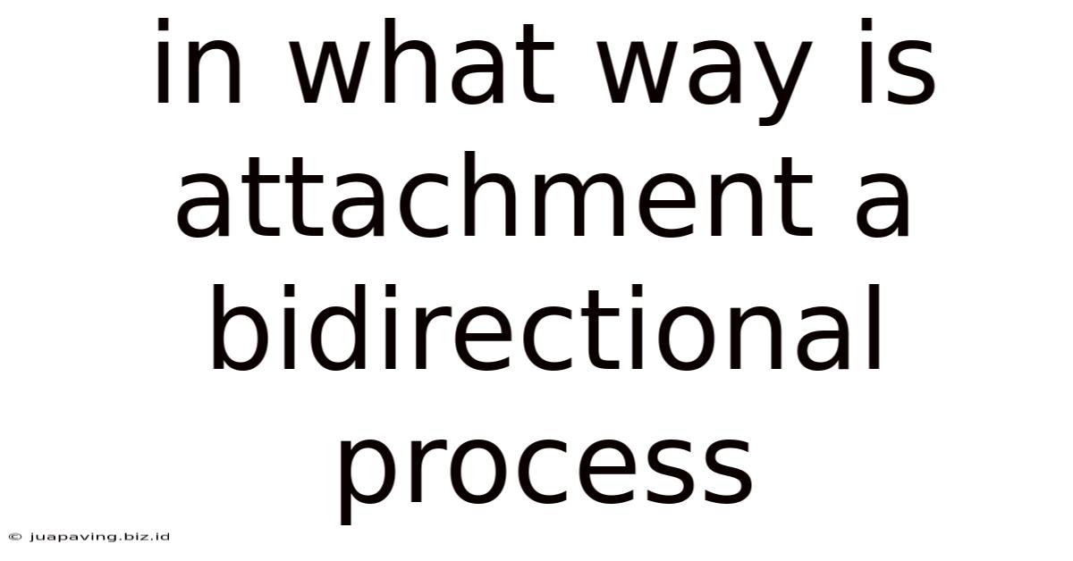 In What Way Is Attachment A Bidirectional Process
