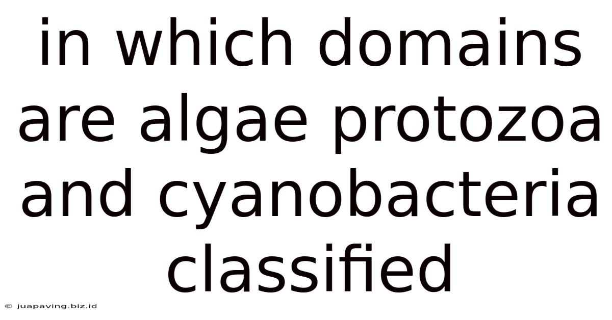 In Which Domains Are Algae Protozoa And Cyanobacteria Classified