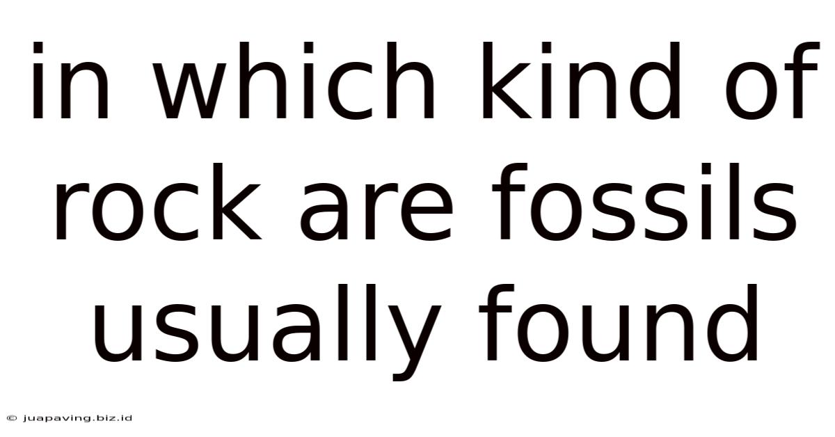 In Which Kind Of Rock Are Fossils Usually Found