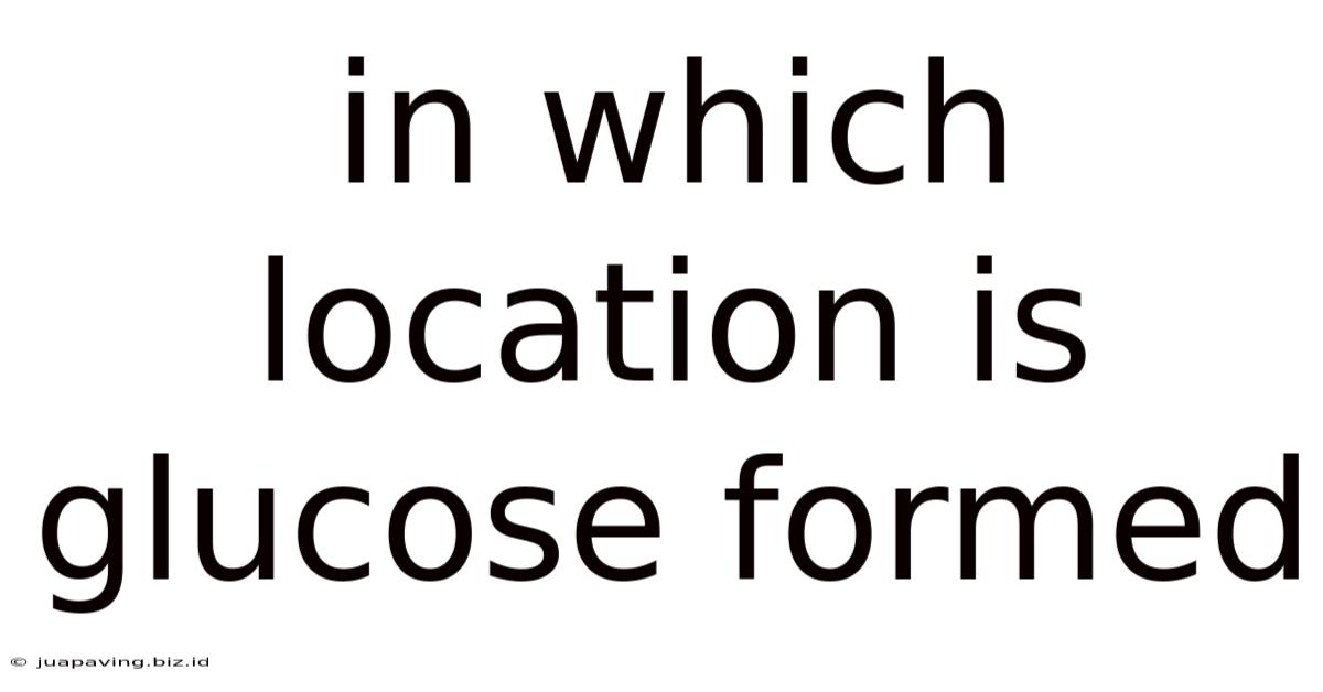 In Which Location Is Glucose Formed