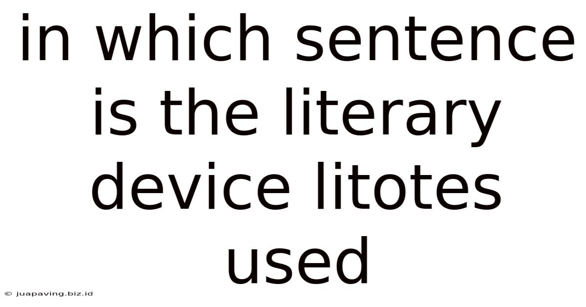 In Which Sentence Is The Literary Device Litotes Used