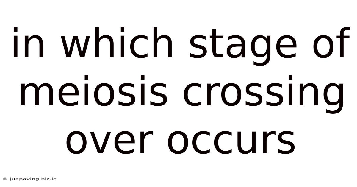 In Which Stage Of Meiosis Crossing Over Occurs
