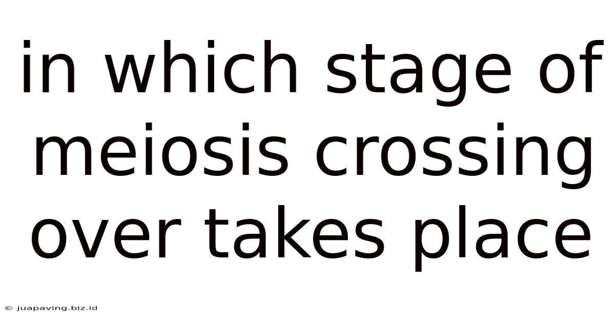 In Which Stage Of Meiosis Crossing Over Takes Place