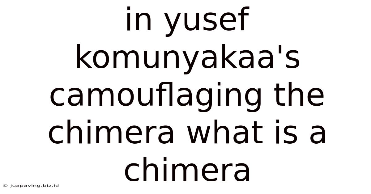 In Yusef Komunyakaa's Camouflaging The Chimera What Is A Chimera