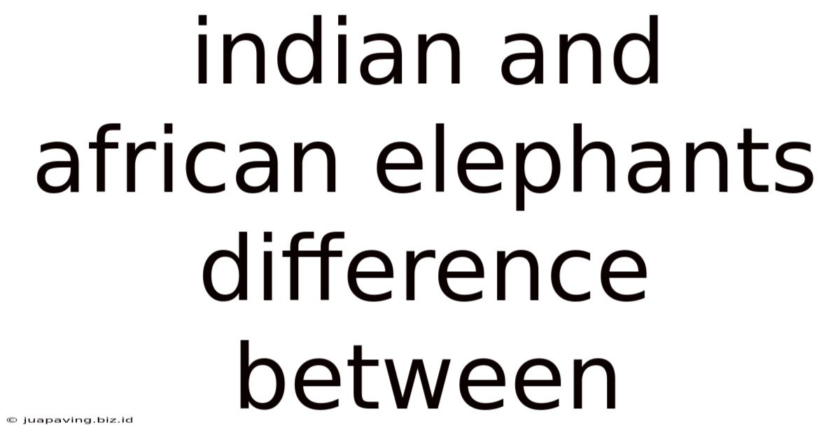 Indian And African Elephants Difference Between