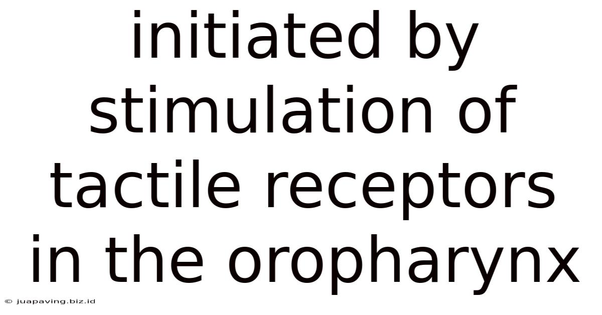 Initiated By Stimulation Of Tactile Receptors In The Oropharynx