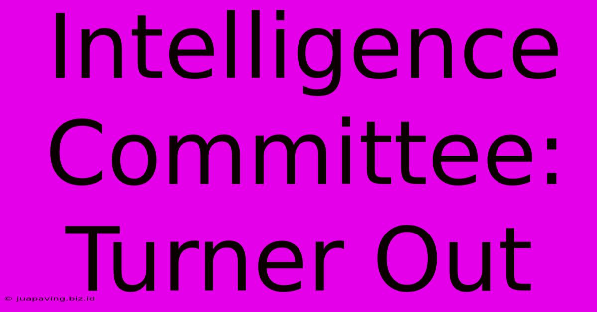 Intelligence Committee: Turner Out