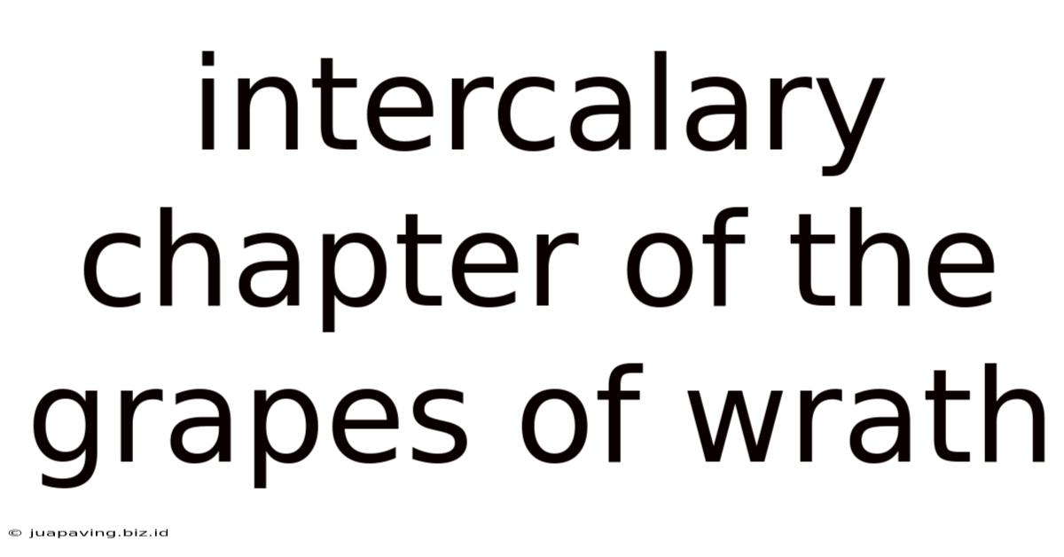Intercalary Chapter Of The Grapes Of Wrath