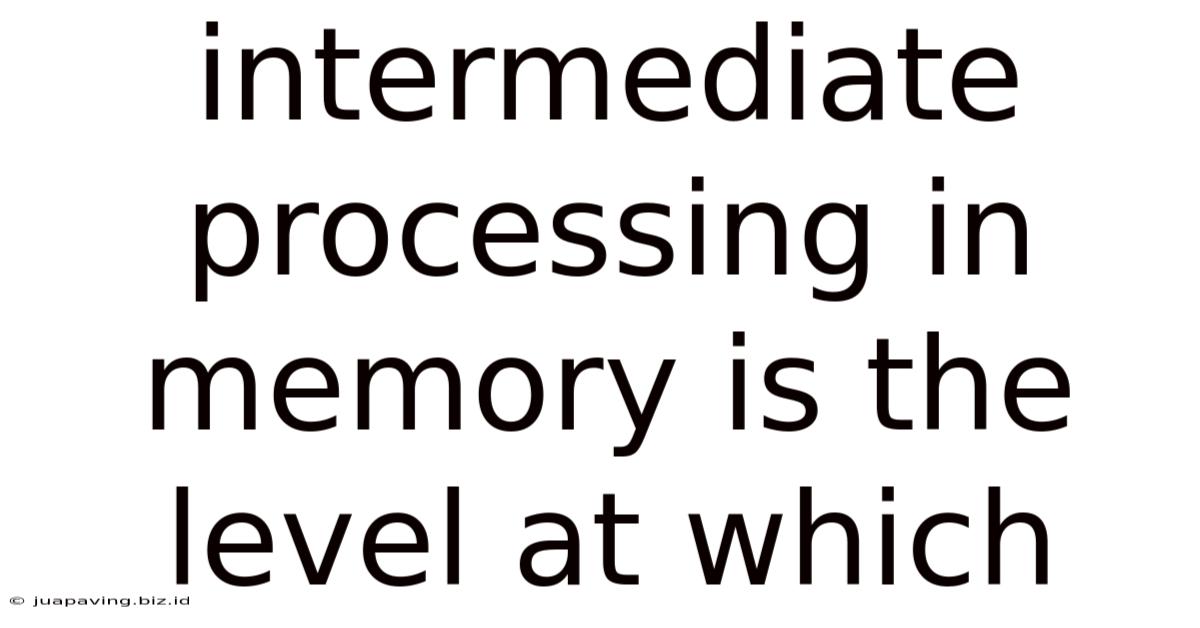 Intermediate Processing In Memory Is The Level At Which