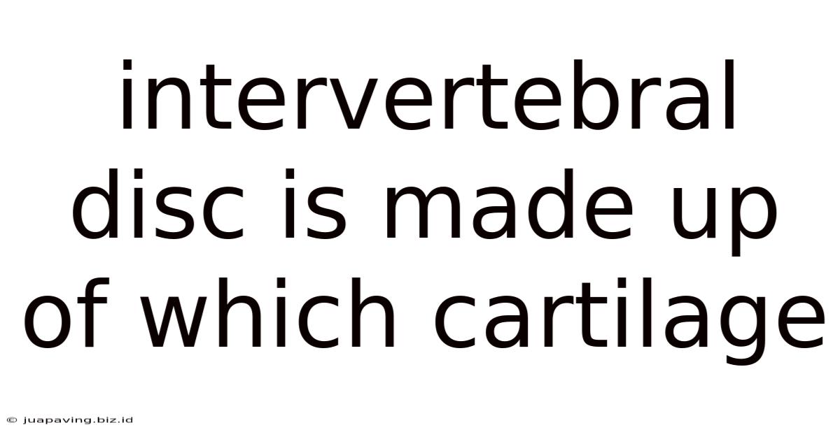 Intervertebral Disc Is Made Up Of Which Cartilage