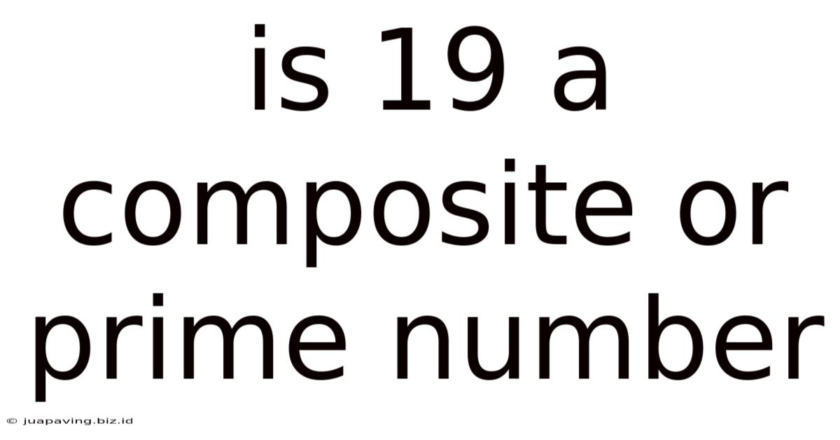 Is 19 A Composite Or Prime Number