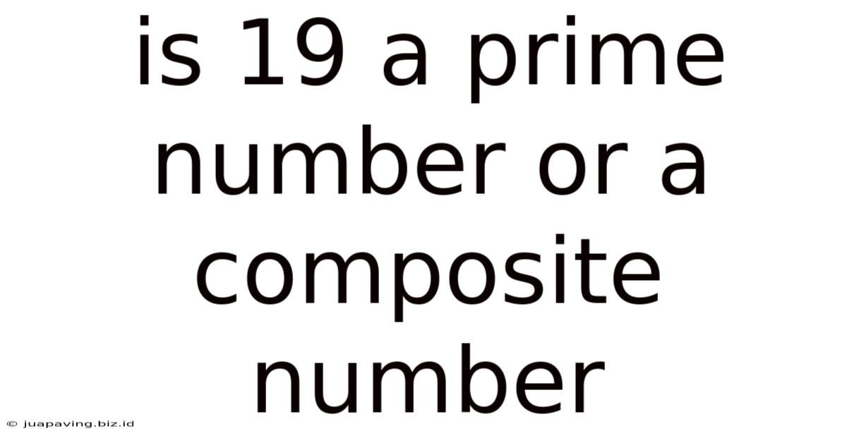 Is 19 A Prime Number Or A Composite Number