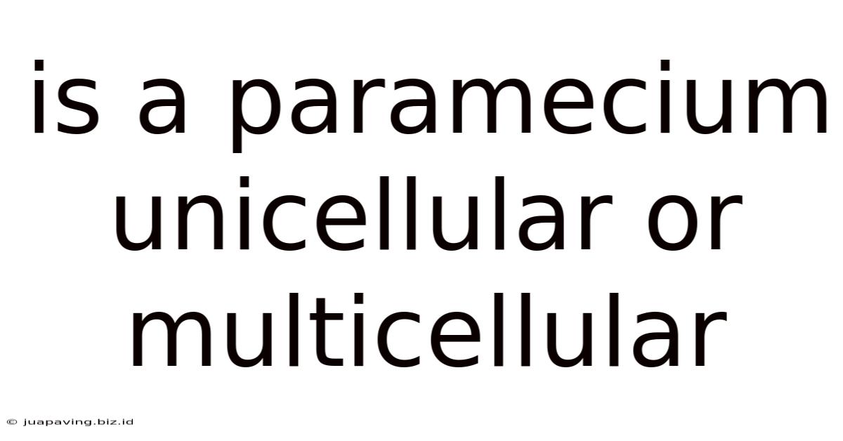 Is A Paramecium Unicellular Or Multicellular