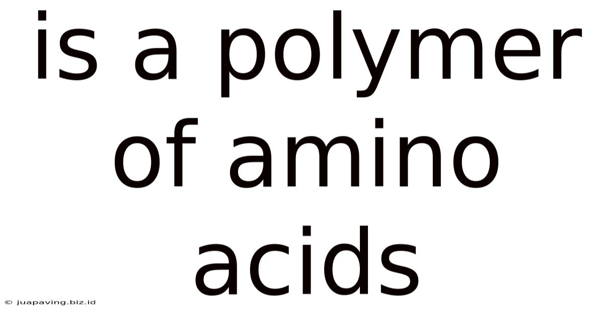 Is A Polymer Of Amino Acids