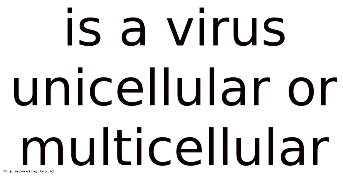 Is A Virus Unicellular Or Multicellular