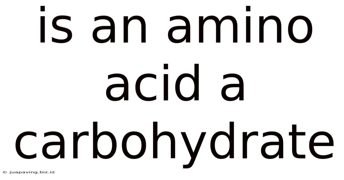 Is An Amino Acid A Carbohydrate