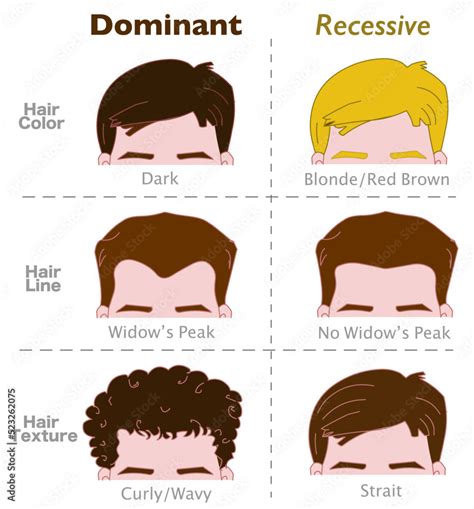 Is Black Or Brown Hair Dominant