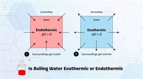 Is Boiling Water Endothermic Or Exothermic