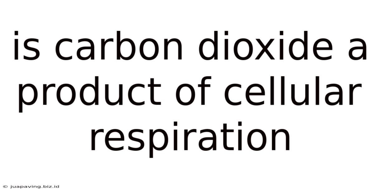 Is Carbon Dioxide A Product Of Cellular Respiration