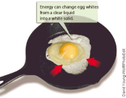 Is Cooking An Egg Endothermic Or Exothermic