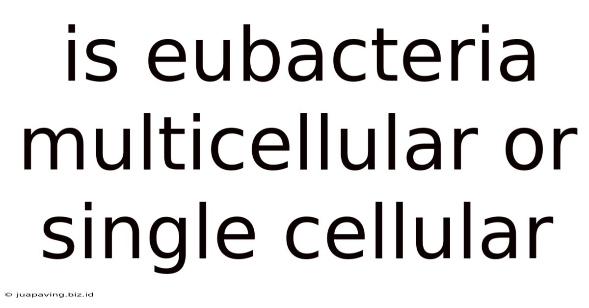 Is Eubacteria Multicellular Or Single Cellular