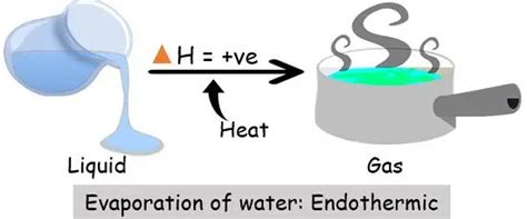 Is Evaporation An Endothermic Or Exothermic Process